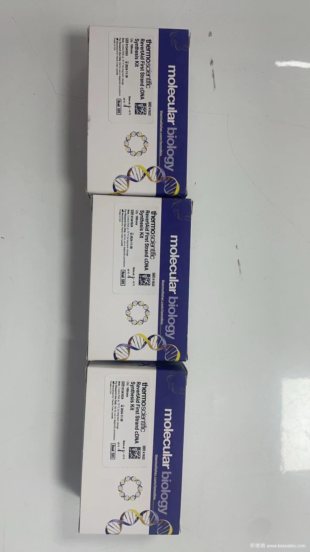RevertAid First Strand cDNA Synthesis Kit